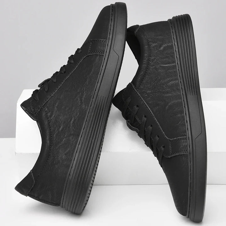 Dalmo Leather Shoes