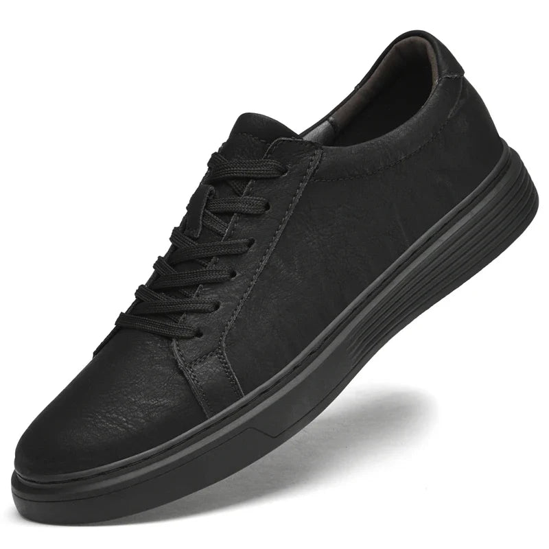 Dalmo Leather Shoes