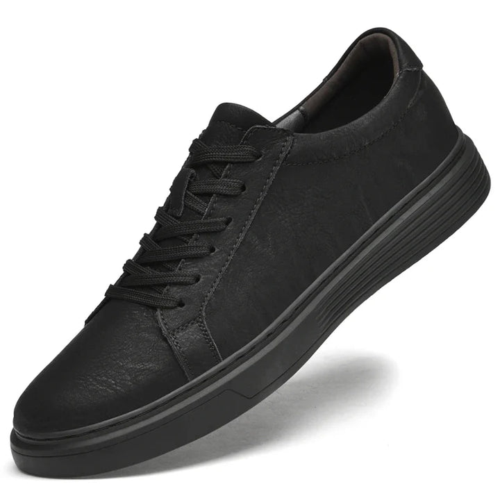 Dalmo Leather Shoes