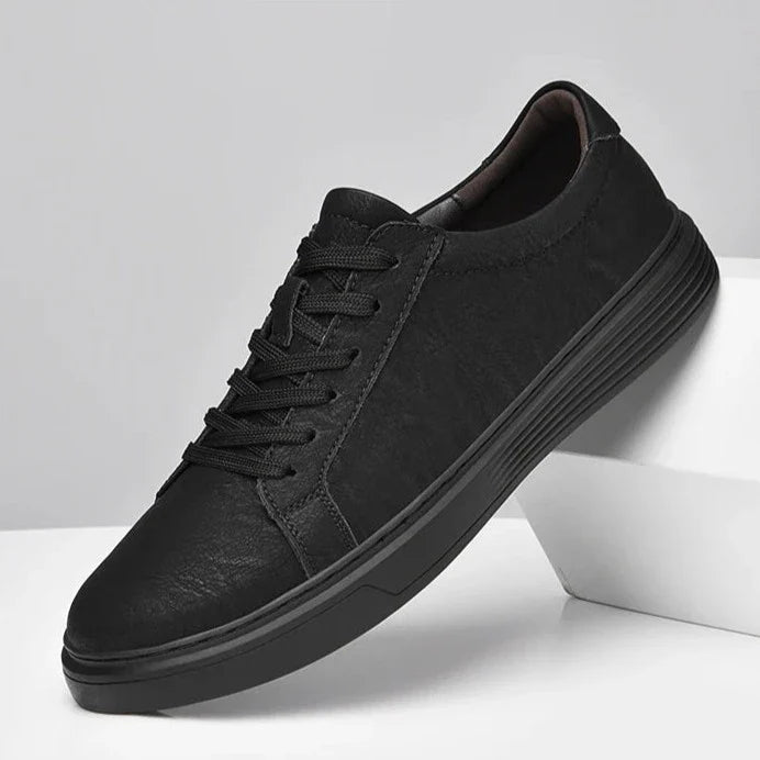 Dalmo Leather Shoes
